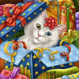 Котик в подарках
