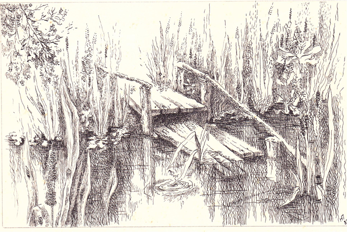 Пруд в Эстонии