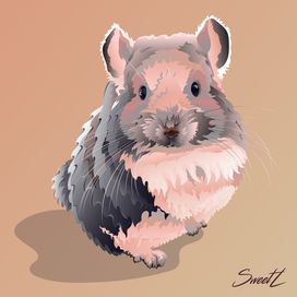 Chinchilla/Шиншила