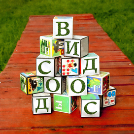 Глава: "А они все ложат и ложат".