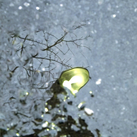 Фотоном призрачного счастья ...