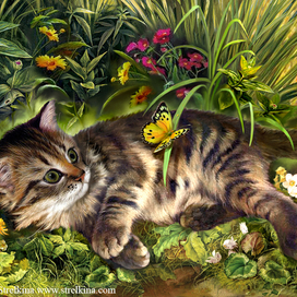 Пушистое очарование