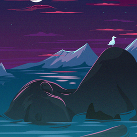 Северная ночь