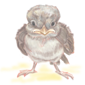 Воробьишко