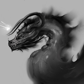 dragon sketch