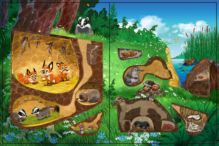 книжка с окошками