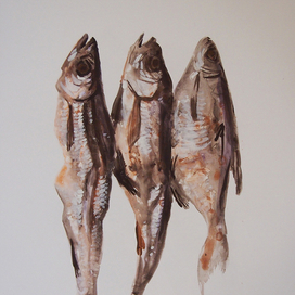 Сушёная рыба