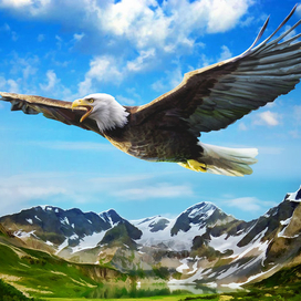 орел над горами