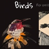 Иллюстрации 