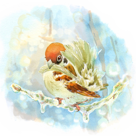 Воробьиха чистит перышки