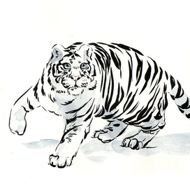 Исследование полосатости тигров