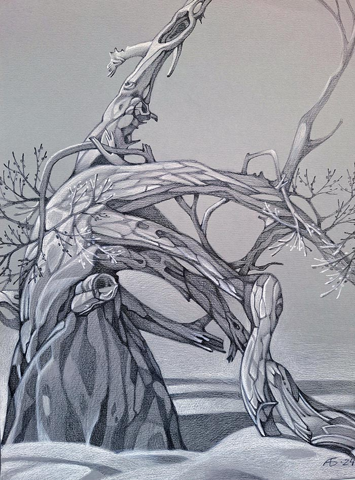 Старая лиственница