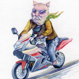 Свинки для новогодних открыток