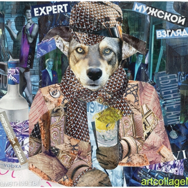 коллаж территория собаки