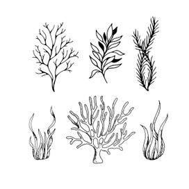 Векоторные иллюстрации, нарисованные вручную