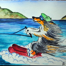 Колли на водных лыжах