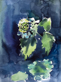 акварели 2020