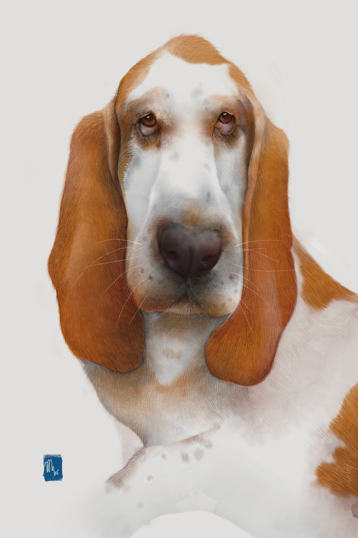 настроение недели