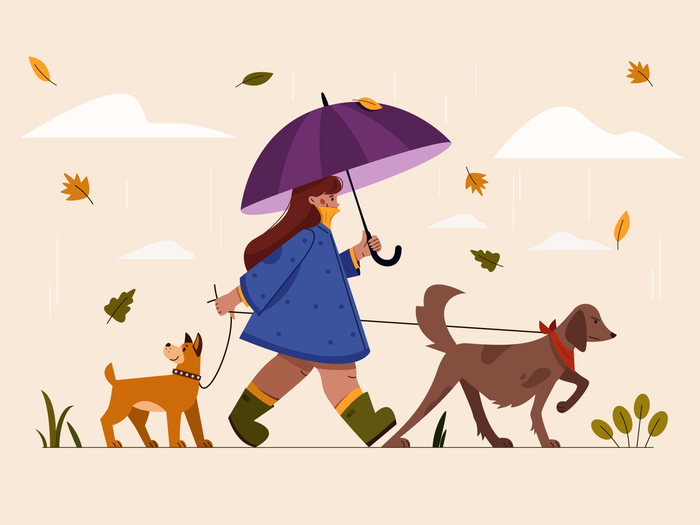 Girl walking with dogs