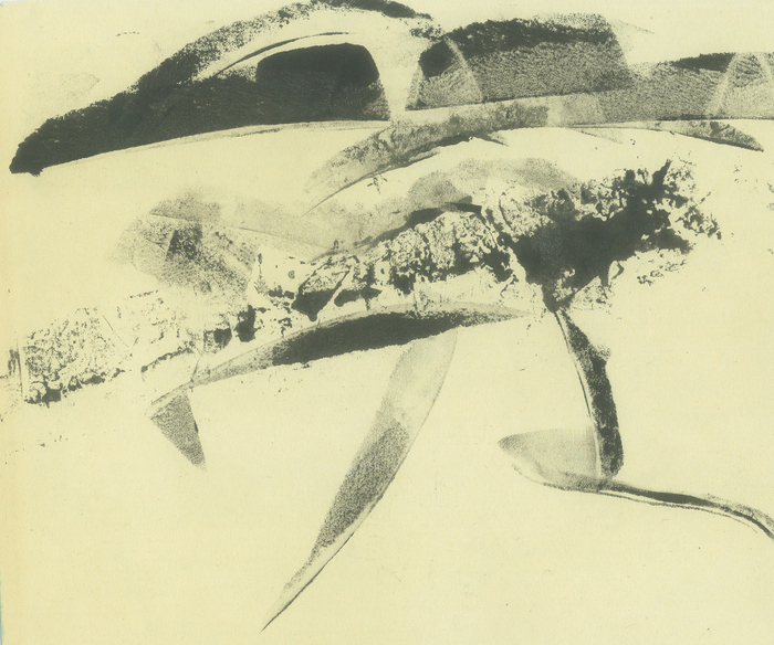 белые снеги