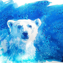 Белый медведь