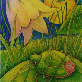 Полная луна