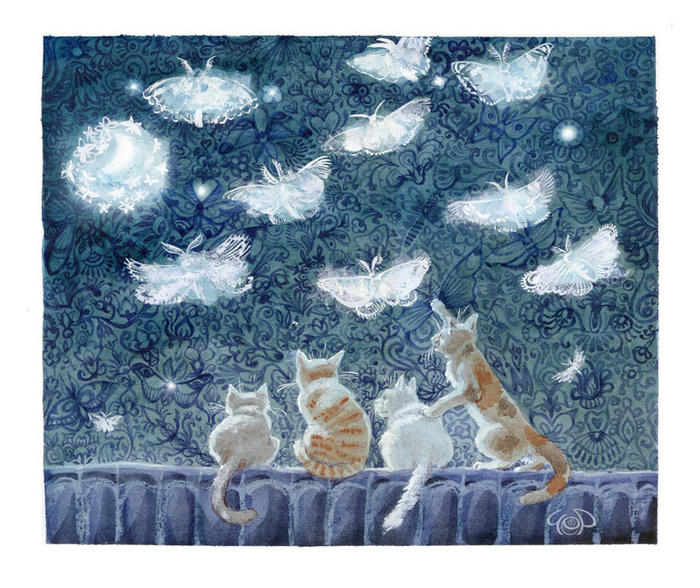 Бражниковые облака