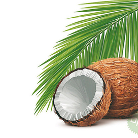 Вкус кокоса