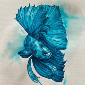 Чернильный петушок