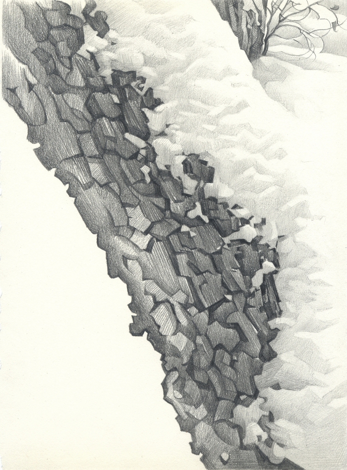 Снежное утро