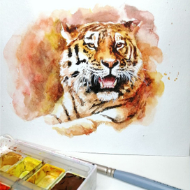 Иллюстрация тигр акварель