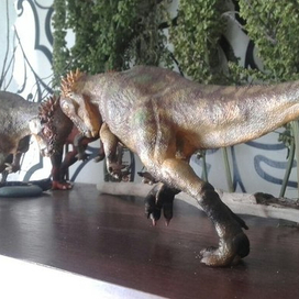 Пахицефалозавр