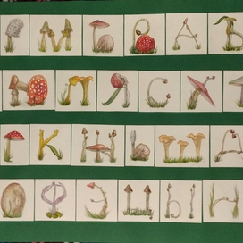 грибной алфавит