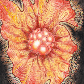 Биоорганика №2