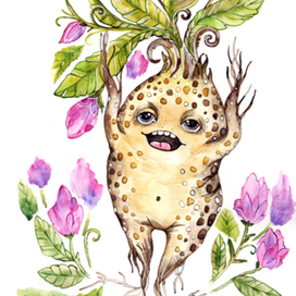 Корень Мандрагоры 