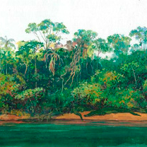 Ещё кое-что к книге о джунглях