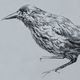 Зарисовка в музее