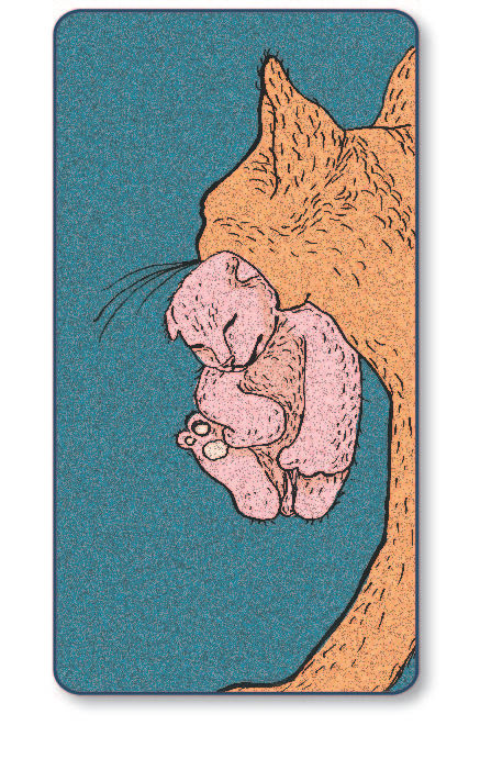 карточки для психологов