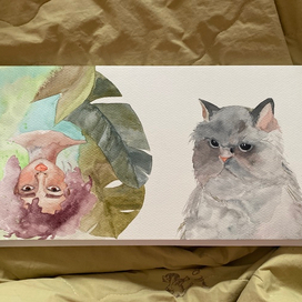 недовольный котик, какая-то еврейка