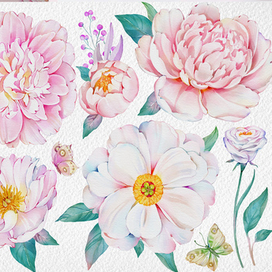 Нежные цветы. 