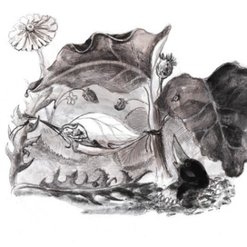 дюймовочка и крот