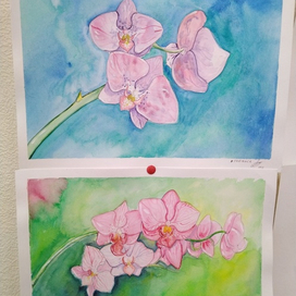 две орхидеи