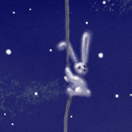 "Птица", Сергей Козлов