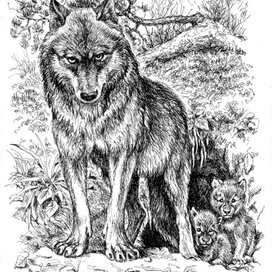 Ни шагу дальше.