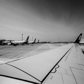 На крыльях счастья