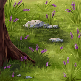 Солнечная полянка