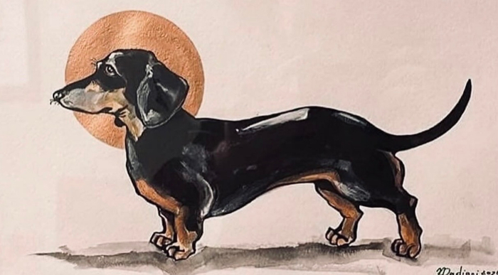 dachshund