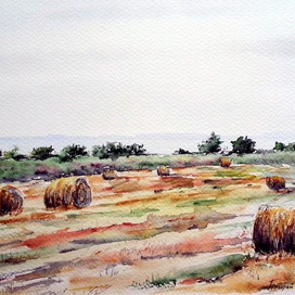 "Залив Кубитцер"