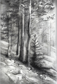 А тянет к соснам....