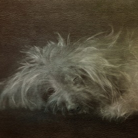 Доброй ночи!